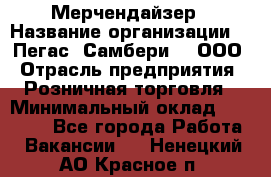 Мерчендайзер › Название организации ­ "Пегас" Самбери-3, ООО › Отрасль предприятия ­ Розничная торговля › Минимальный оклад ­ 23 500 - Все города Работа » Вакансии   . Ненецкий АО,Красное п.